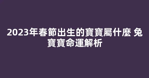 2023年春節出生的寶寶屬什麼 兔寶寶命運解析